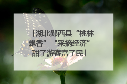 湖北郧西县“桃林飘香”“采摘经济”甜了游客富了民