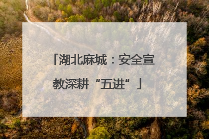 湖北麻城：安全宣教深耕“五进”