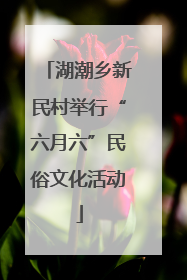 湖潮乡新民村举行“六月六”民俗文化活动