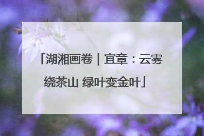 湖湘画卷｜宜章：云雾绕茶山 绿叶变金叶