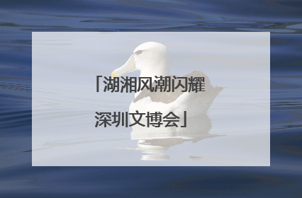 湖湘风潮闪耀深圳文博会
