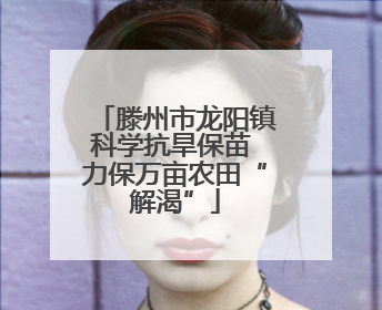 滕州市龙阳镇科学抗旱保苗 力保万亩农田“解渴”