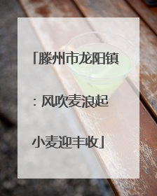 滕州市龙阳镇：风吹麦浪起 小麦迎丰收