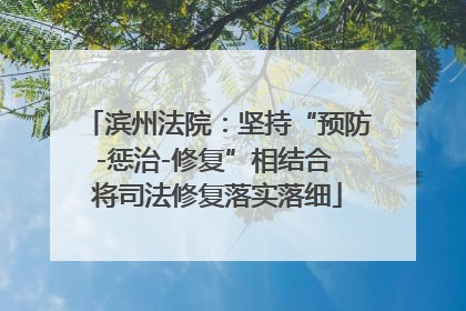 滨州法院：坚持“预防-惩治-修复”相结合 将司法修复落实落细