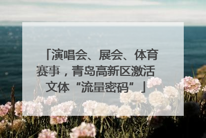 演唱会、展会、体育赛事，青岛高新区激活文体“流量密码”