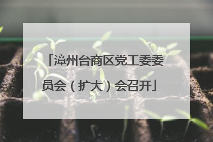 漳州台商区党工委委员会（扩大）会召开
