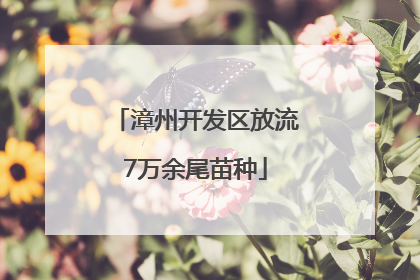 漳州开发区放流7万余尾苗种