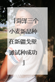 菏泽三个小麦新品种在新疆戈壁滩试种成功