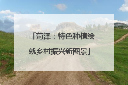 菏泽：特色种植绘就乡村振兴新图景
