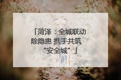 菏泽：全城联动除隐患 携手共筑“安全城”