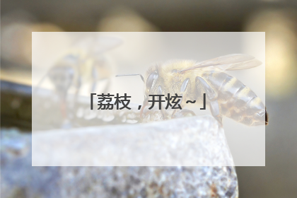 荔枝，开炫～