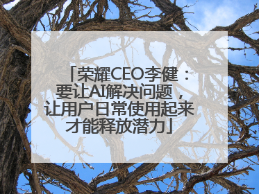荣耀CEO李健：要让AI解决问题，让用户日常使用起来才能释放潜力