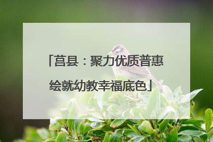 莒县：聚力优质普惠 绘就幼教幸福底色