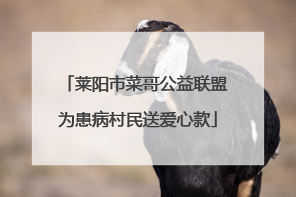 莱阳市菜哥公益联盟为患病村民送爱心款