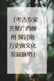 考古专家齐聚广西柳州 探讨南方史前文化发展脉络