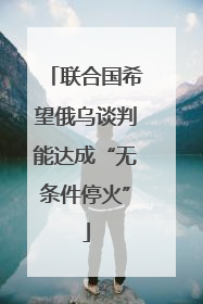 联合国希望俄乌谈判能达成“无条件停火”