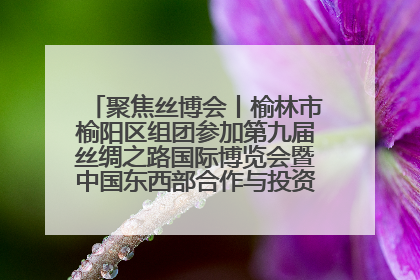 聚焦丝博会丨榆林市榆阳区组团参加第九届丝绸之路国际博览会暨中国东西部合作与投资贸易洽谈会