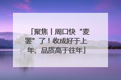 聚焦丨周口快“麦罢”了！收成好于上年、品质高于往年