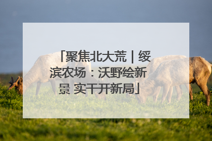 聚焦北大荒｜绥滨农场：沃野绘新景 实干开新局