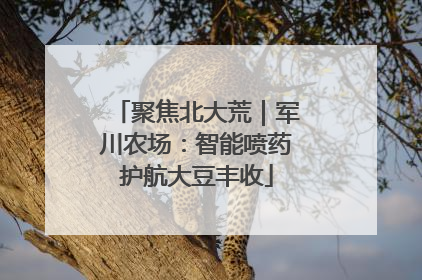 聚焦北大荒｜军川农场：智能喷药护航大豆丰收