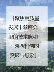 聚焦高质量发展丨丝博会里的技术脉动：陕西科创的突破与想象