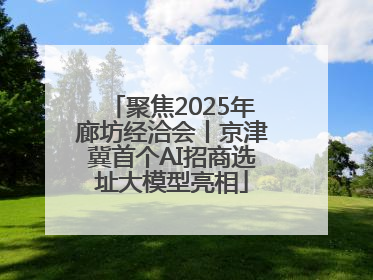 聚焦2025年廊坊经洽会丨京津冀首个AI招商选址大模型亮相
