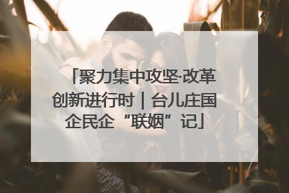 聚力集中攻坚·改革创新进行时｜台儿庄国企民企“联姻”记