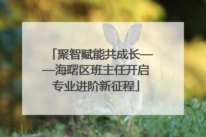 聚智赋能共成长——海曙区班主任开启专业进阶新征程