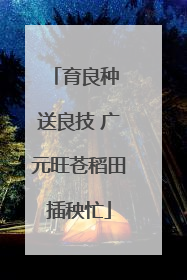 育良种 送良技 广元旺苍稻田插秧忙