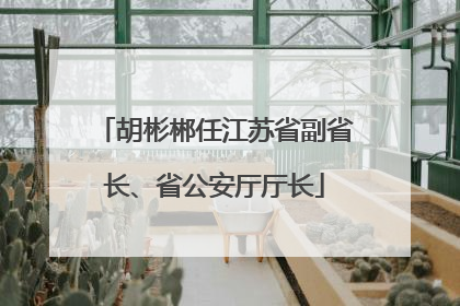胡彬郴任江苏省副省长、省公安厅厅长