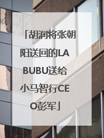 胡润将张朝阳送回的LABUBU送给小马智行CEO彭军