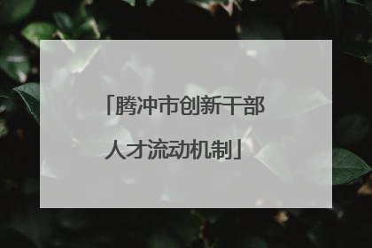 腾冲市创新干部人才流动机制