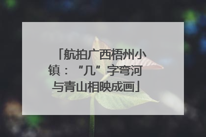 航拍广西梧州小镇：“几”字弯河与青山相映成画