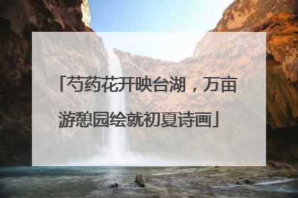 芍药花开映台湖，万亩游憩园绘就初夏诗画