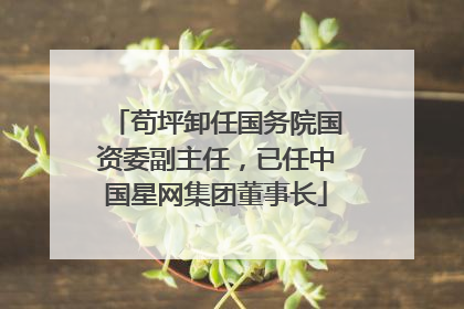 苟坪卸任国务院国资委副主任，已任中国星网集团董事长
