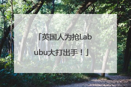 英国人为抢Labubu大打出手！