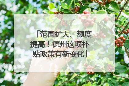 范围扩大、额度提高！德州这项补贴政策有新变化
