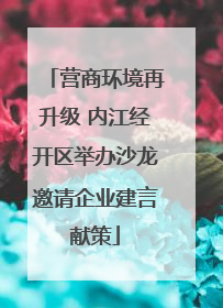 营商环境再升级 内江经开区举办沙龙邀请企业建言献策
