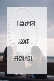 葛建团、赵峰，升副部