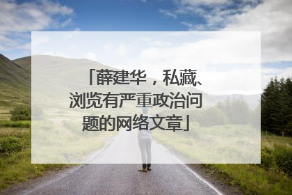 薛建华，私藏、浏览有严重政治问题的网络文章