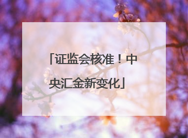 证监会核准！中央汇金新变化