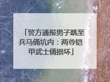 警方通报男子跳至兵马俑坑内：两尊铠甲武士俑损坏