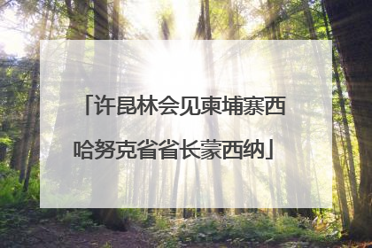 许昆林会见柬埔寨西哈努克省省长蒙西纳