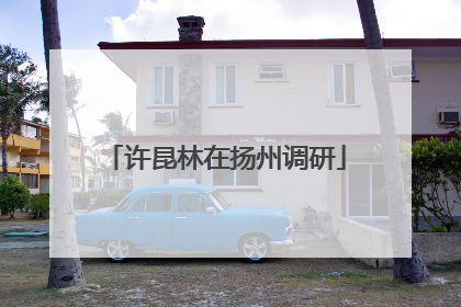 许昆林在扬州调研