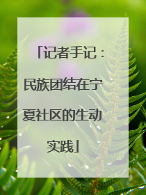 记者手记：民族团结在宁夏社区的生动实践