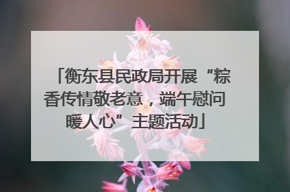 衡东县民政局开展“粽香传情敬老意，端午慰问暖人心”主题活动
