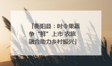 衡阳县：时令果蔬争“鲜”上市 农旅融合助力乡村振兴