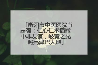 衡阳市中医医院肖志强：仁心仁术播撒中非友谊，岐黄之光照亮津巴大地