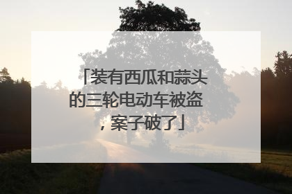 装有西瓜和蒜头的三轮电动车被盗，案子破了
