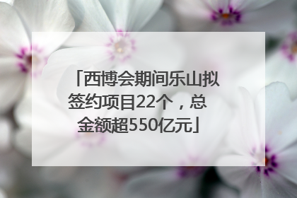 西博会期间乐山拟签约项目22个，总金额超550亿元